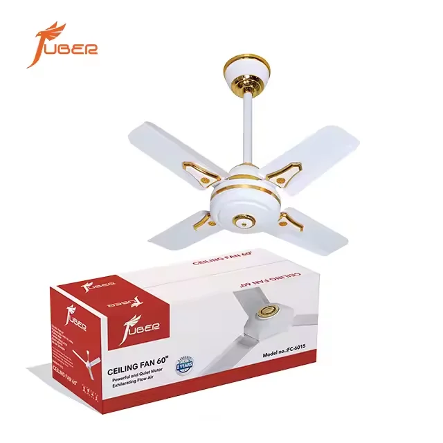 Ventilateur de plafond intelligent 24 pouces pour chambre à coucher