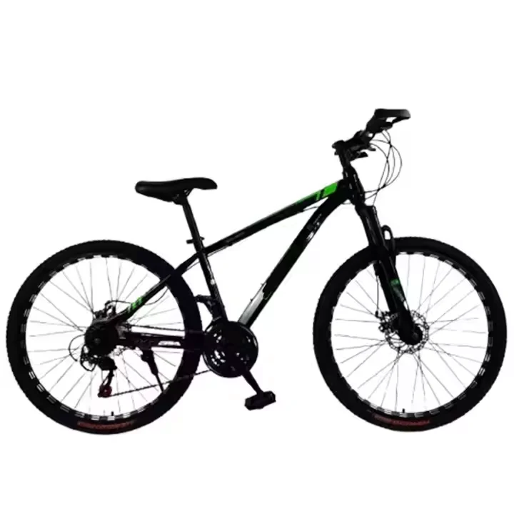 VTT adulte en acier