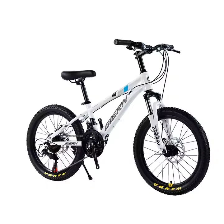 Vélo adulte — 20 pouces
