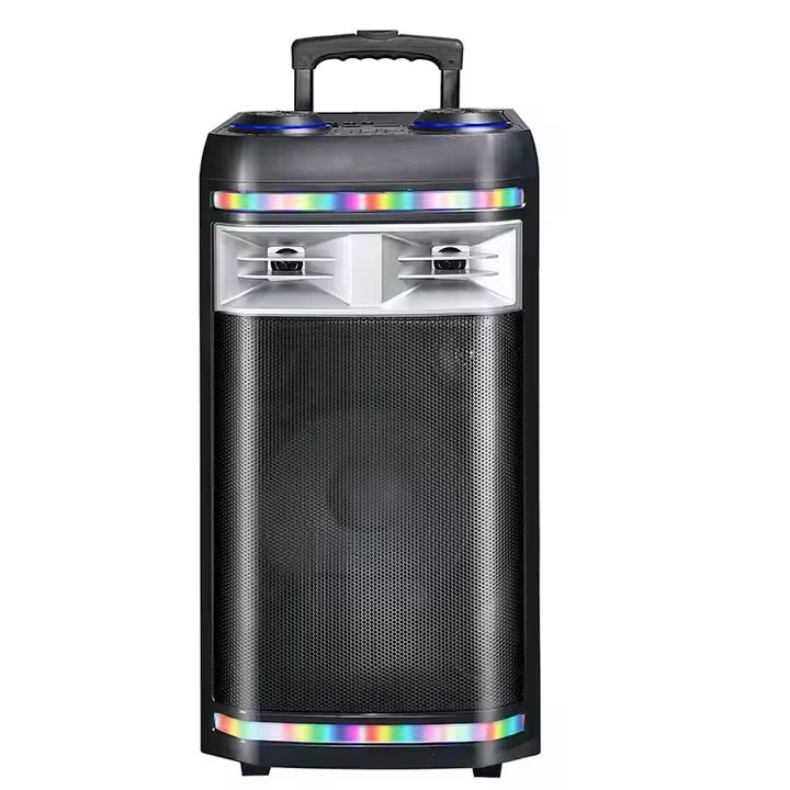 Enceinte portable AMANI AM-126 — 12 pouces