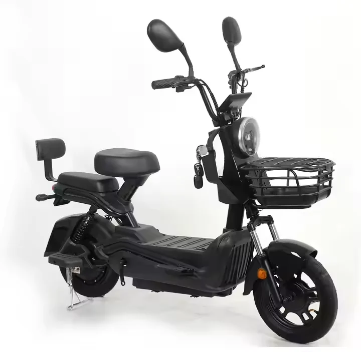 Vélo électrique 500W 48V vélo électrique vélo électrique pour adultes