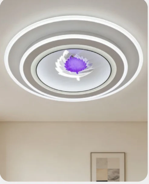 Plafonnier décoratif en acrylique — modèle Y60791