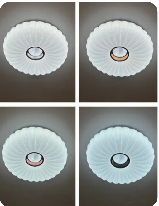 Plafonnier décoratif en plastique — modèle Y65328